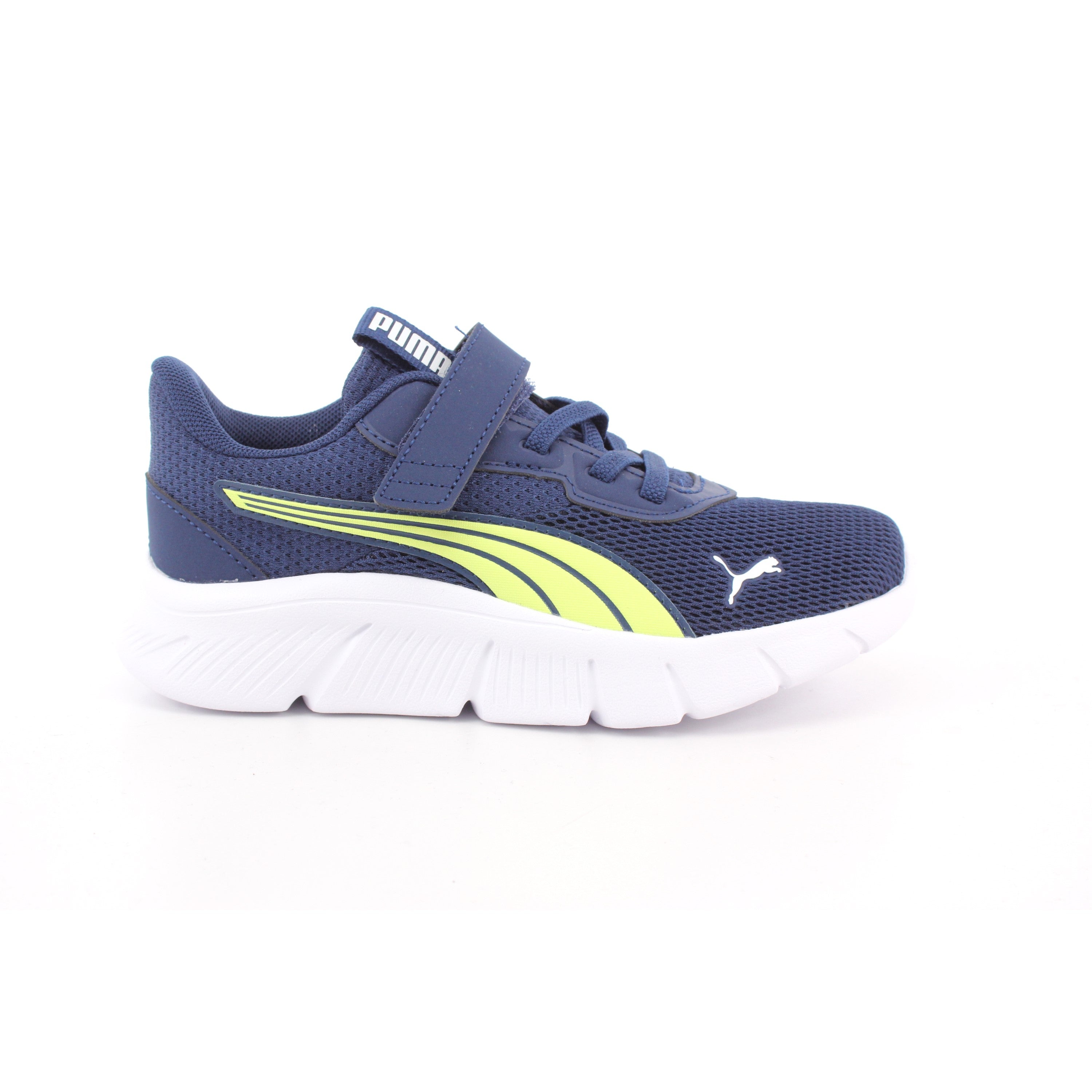 FLEXFOCUS MODERN AC+ PS PERSIAN BLUE-PUMA WHITE