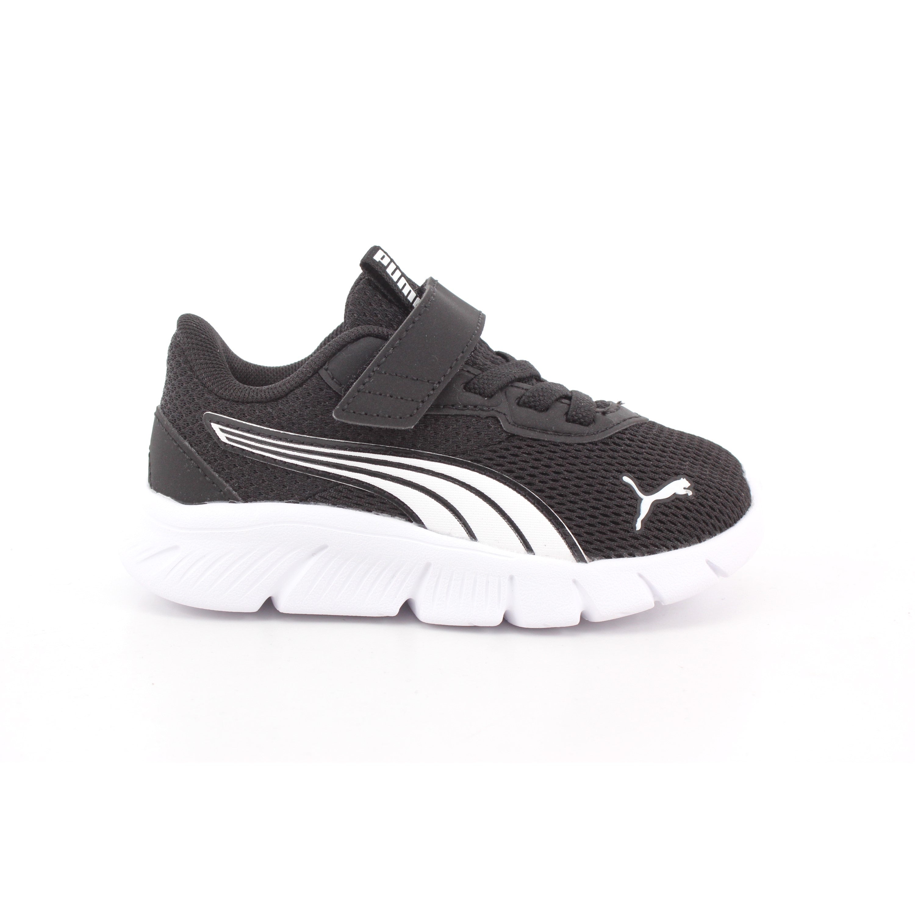 FLEXFOCUS MODERN AC+ INF PUMA BLACK-PUMA WHITE