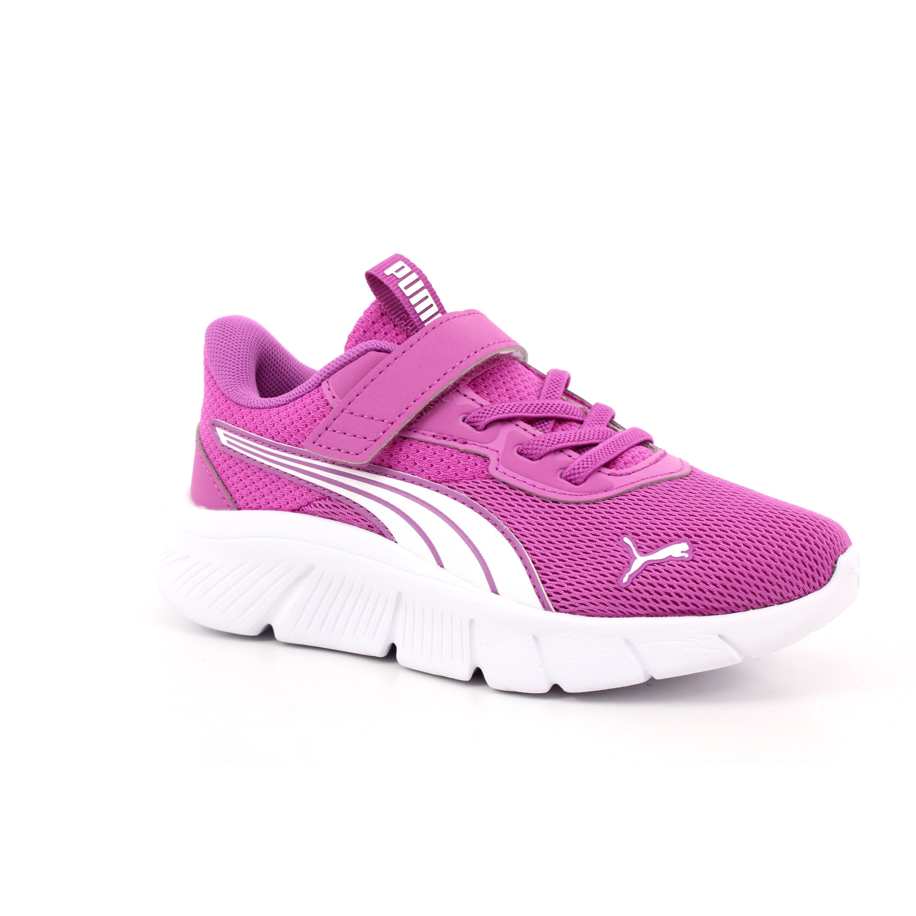 FLEXFOCUS MODERN AC+PS WILD BERRY