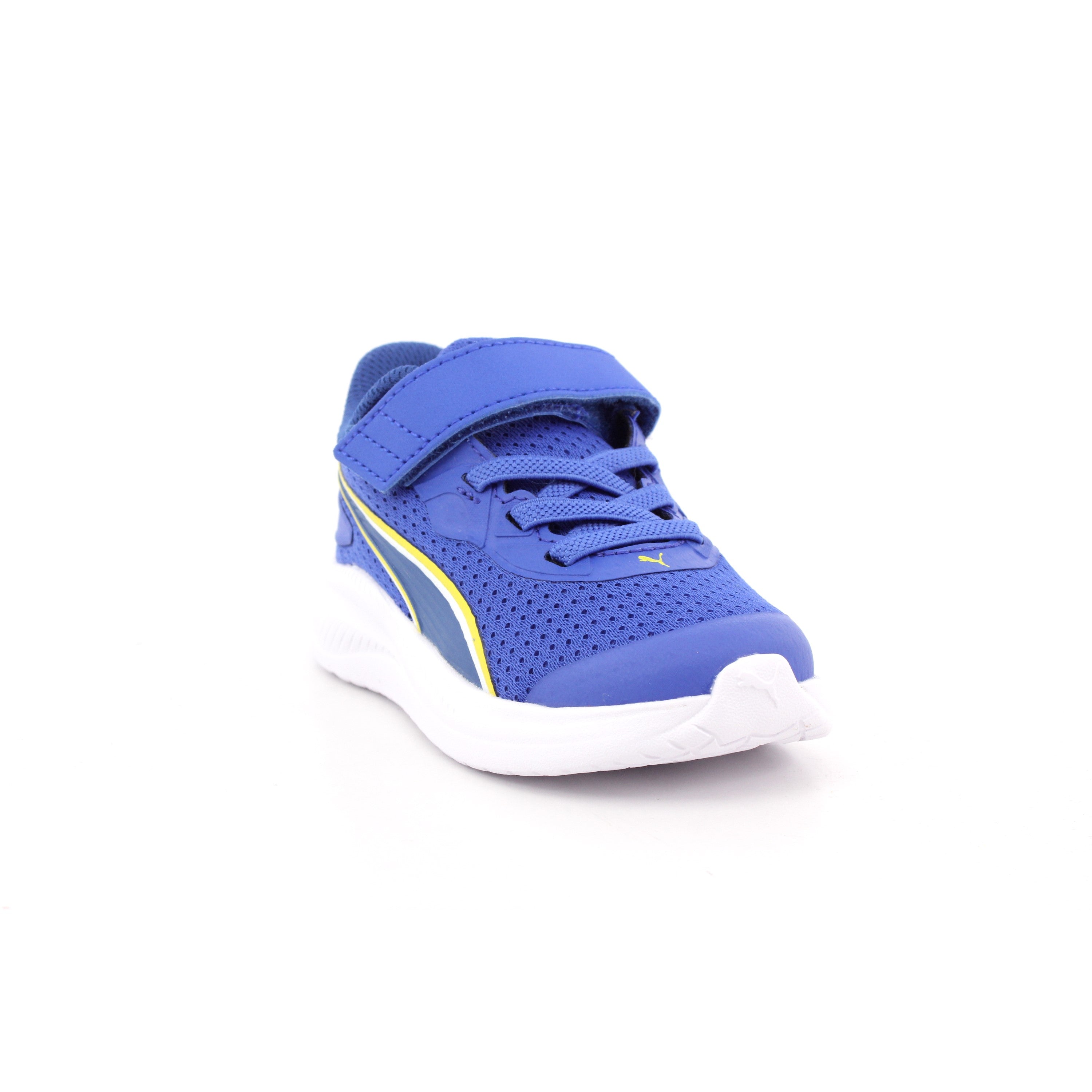 SKYROCKET 2 AC+ INF ROYAL SAPPHIRE-PUMA WHITE