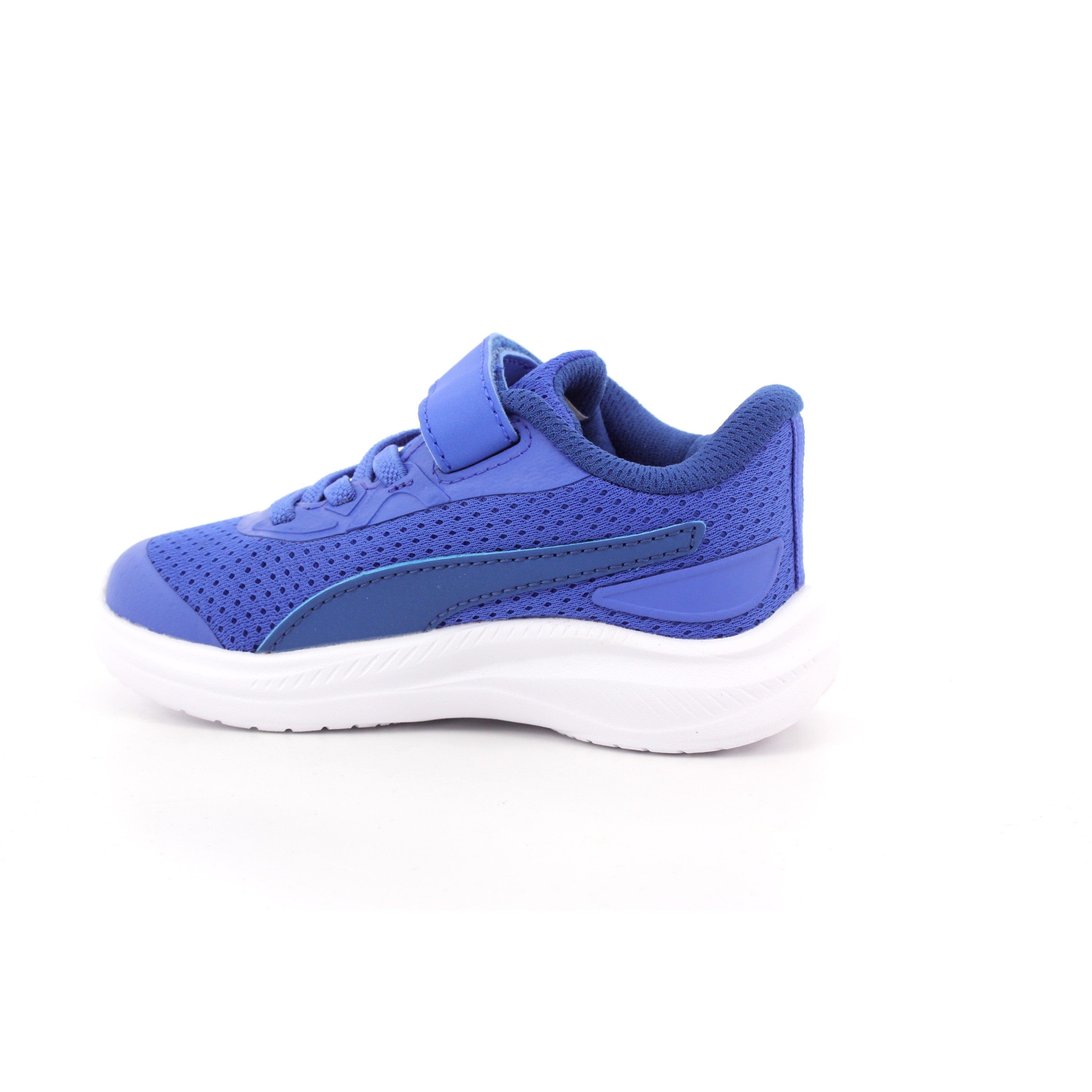 SKYROCKET 2 AC+ INF ROYAL SAPPHIRE-PUMA WHITE