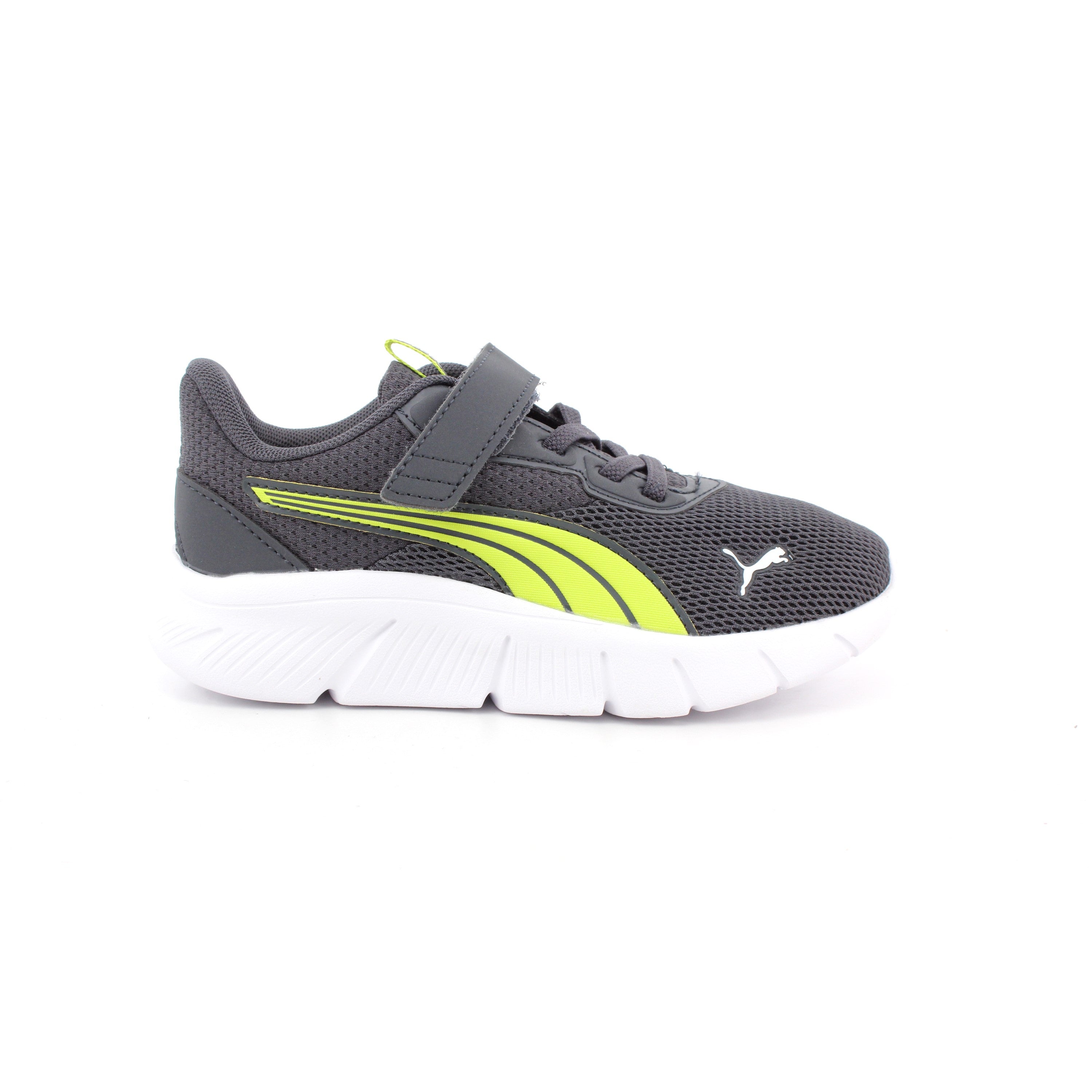 FLEXFOCUS MODERN AC+PS STRONG GRAY-PUMA WHITE