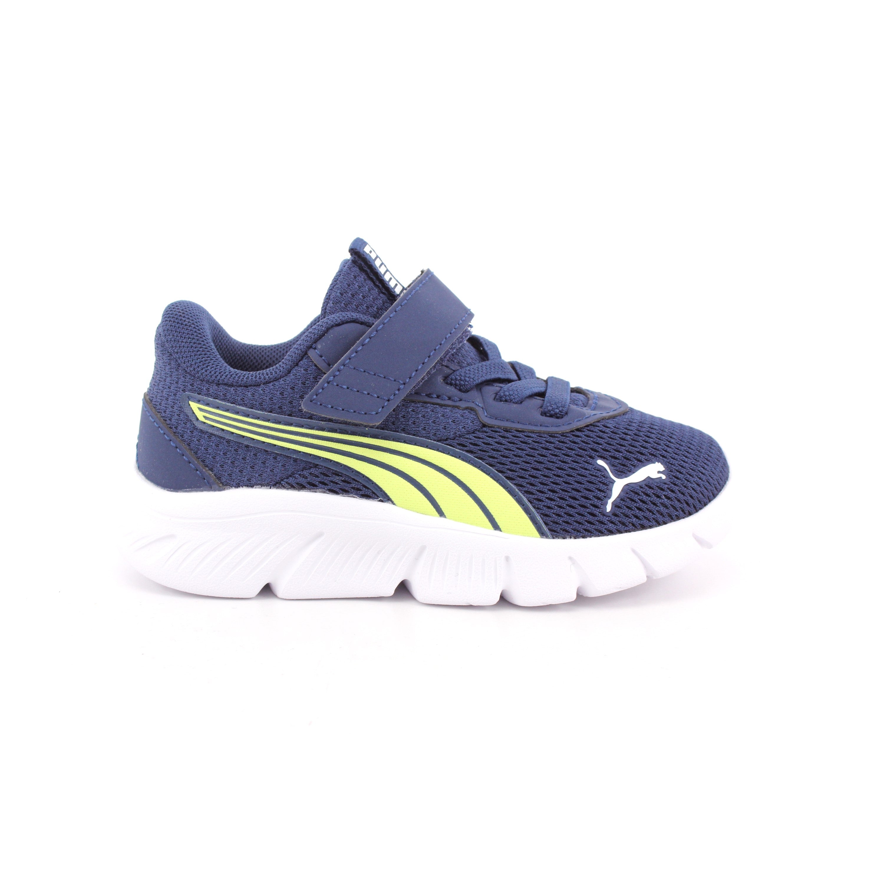 FLEXFOCUS MODERN AC+ INF PERSIAN BLUE-PUMA