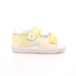 FALCOTTO ARIEL GIALLO