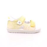 FALCOTTO ARIEL GIALLO