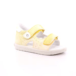 FALCOTTO ARIEL GIALLO