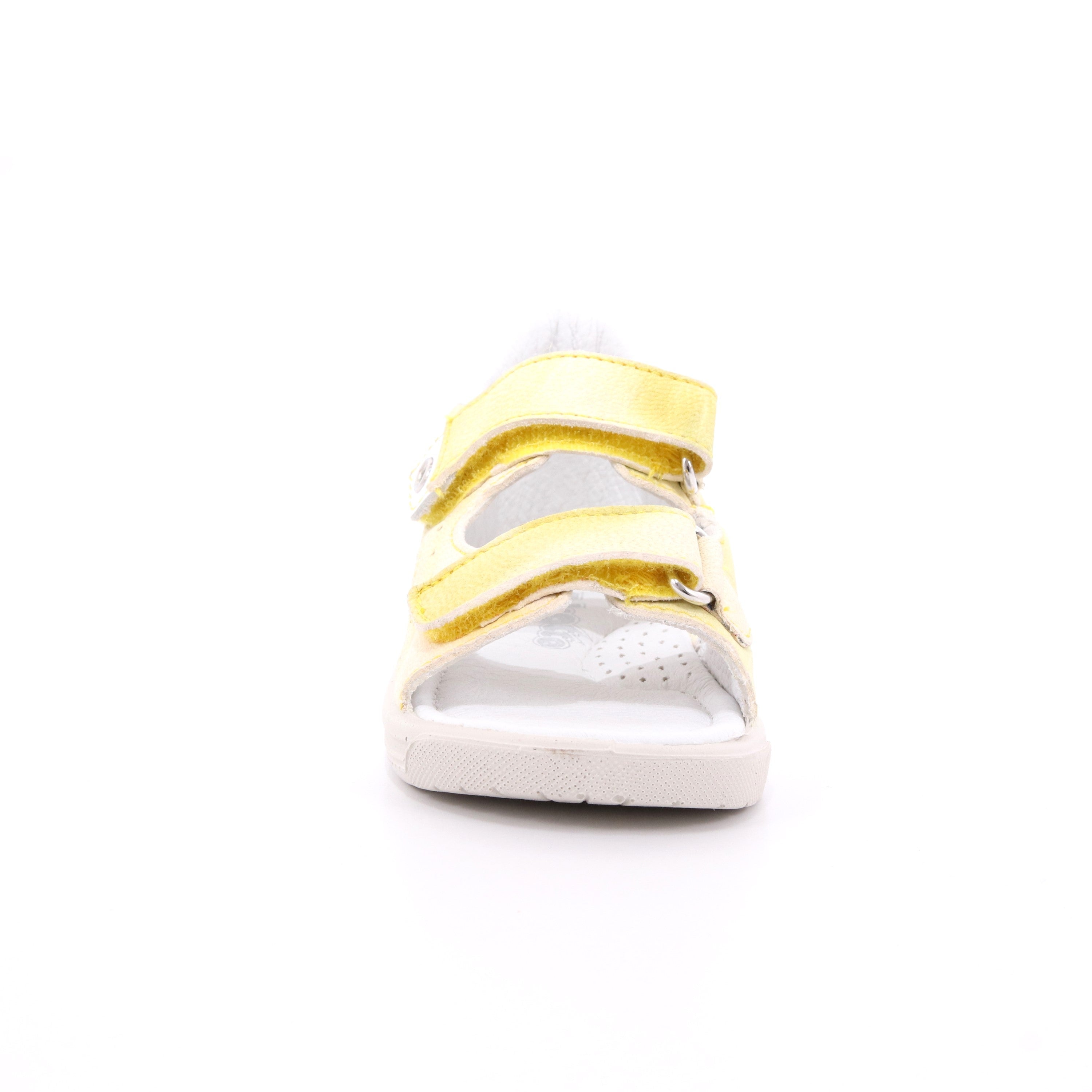 FALCOTTO ARIEL GIALLO