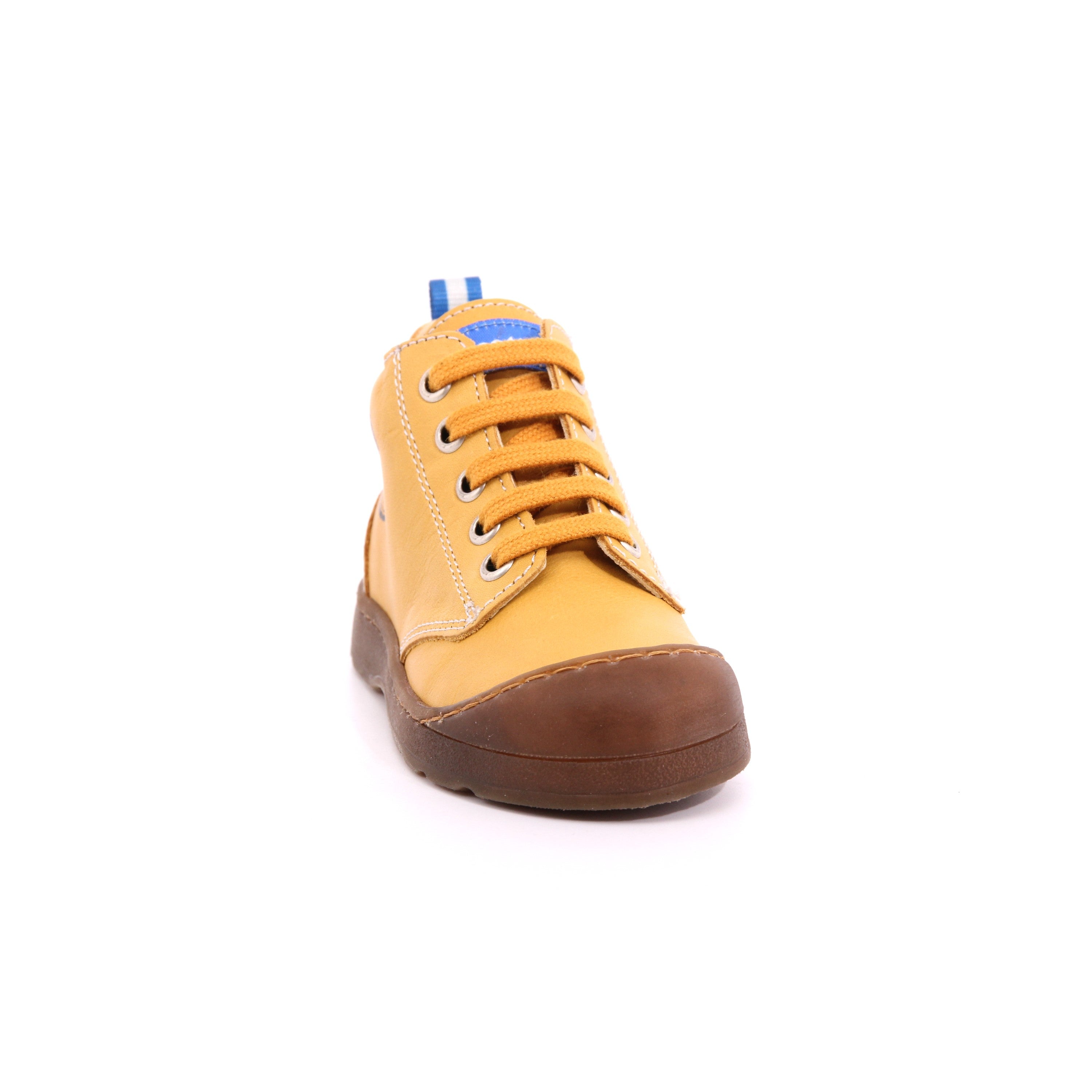 FALCOTTO BLUMIT ZUCCA