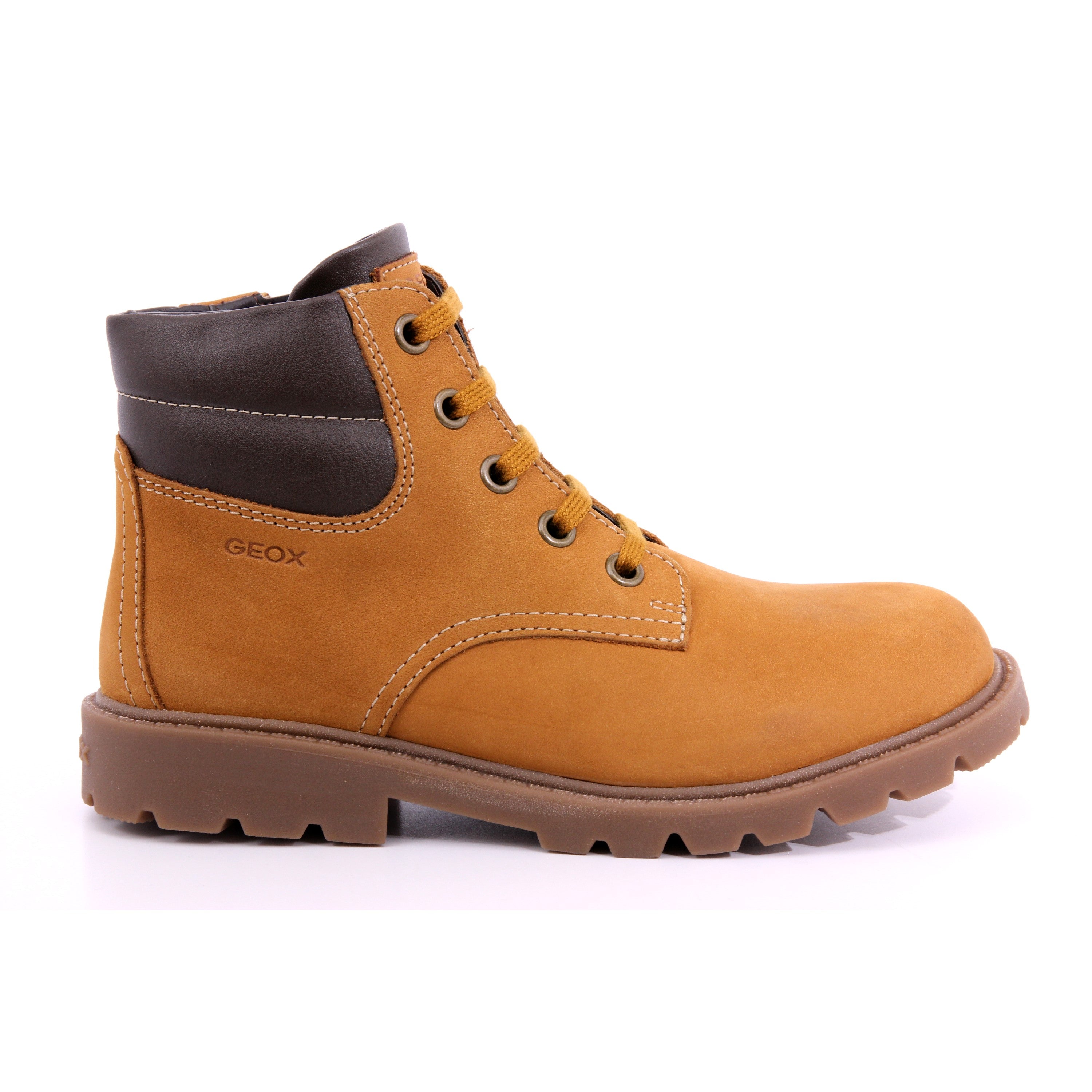 032BC C0930 J SHAYLAX B. B - NBK+VIT.SIN YELLOW