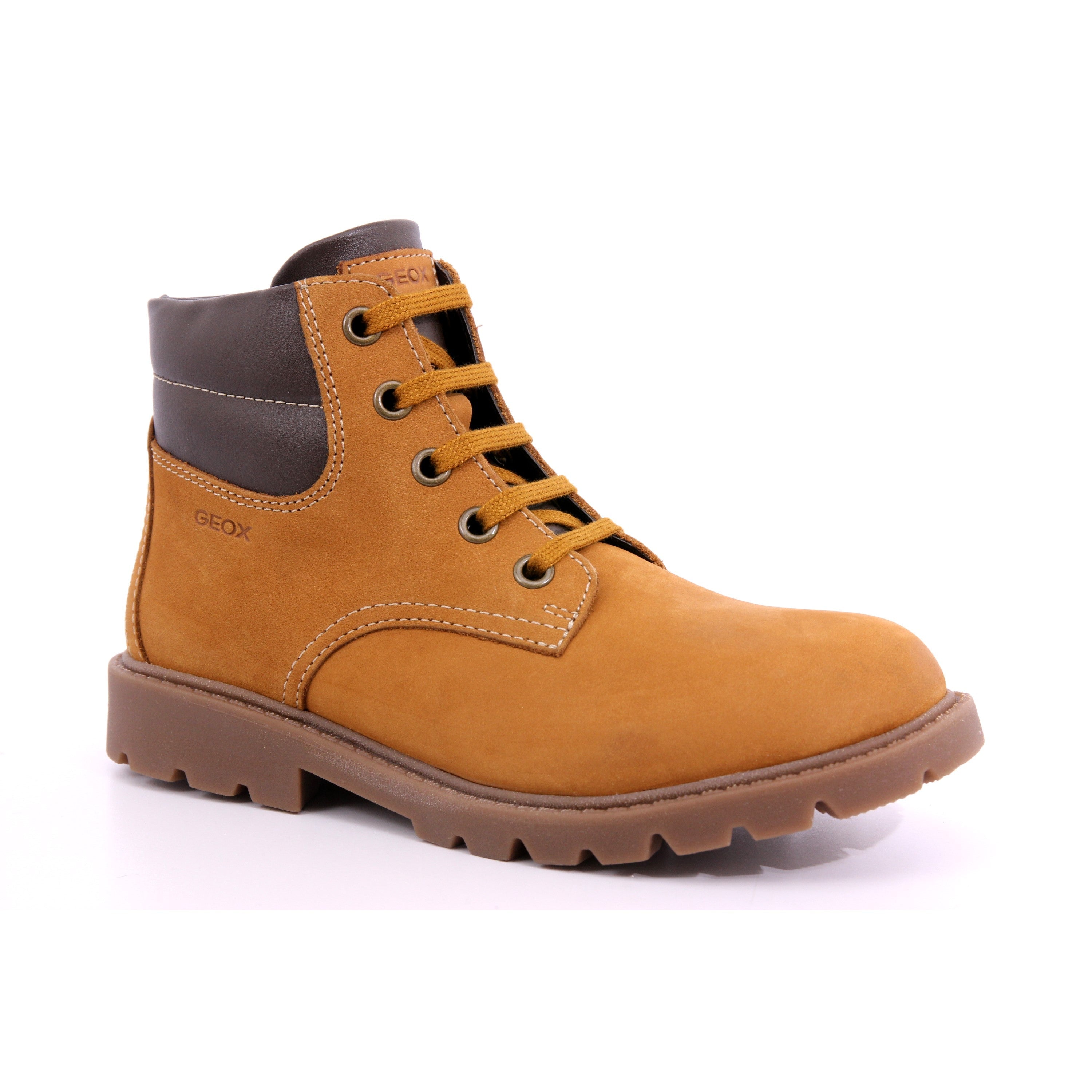 032BC C0930 J SHAYLAX B. B - NBK+VIT.SIN YELLOW