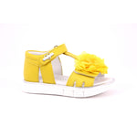 GIALLO