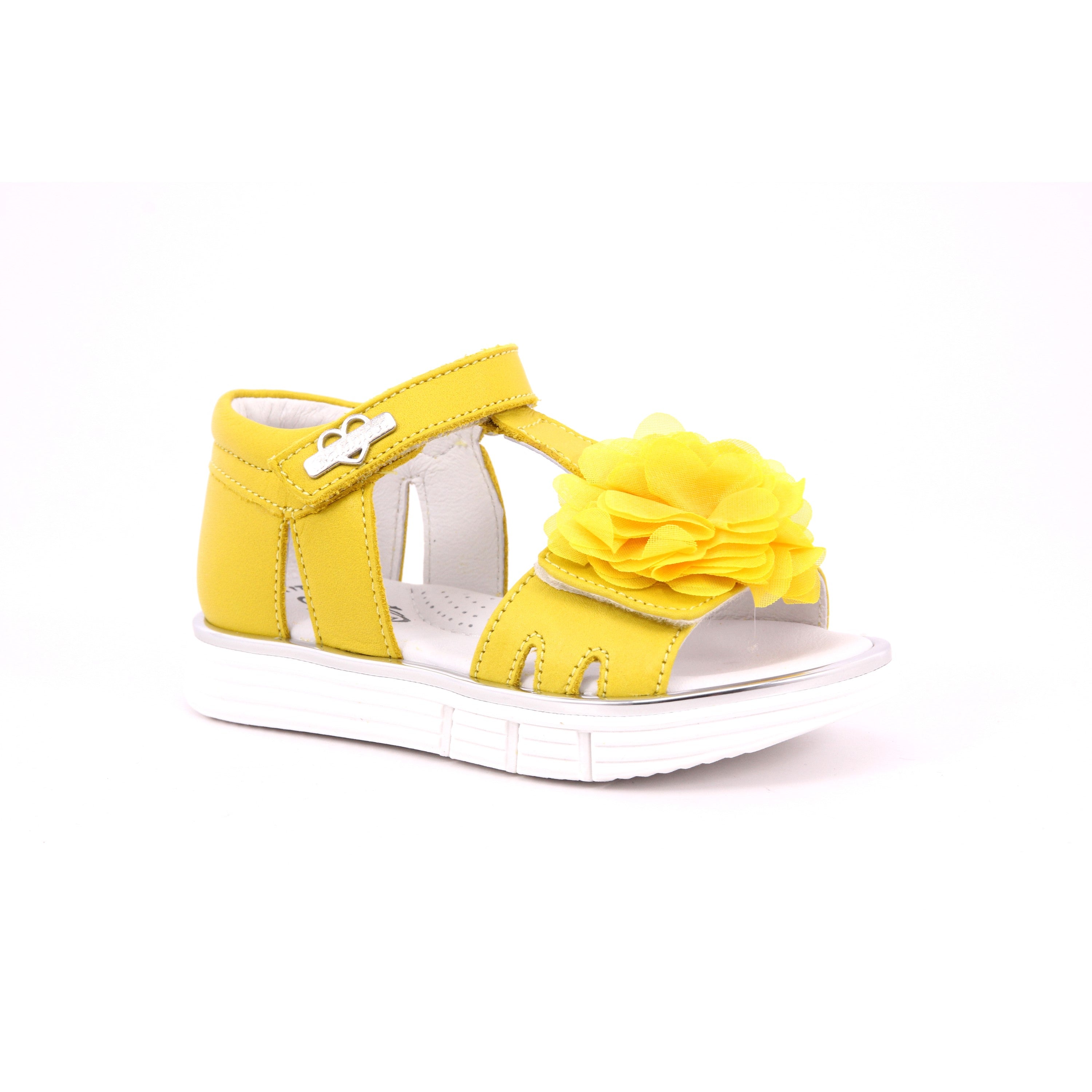 GIALLO