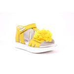 GIALLO