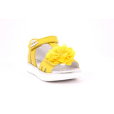 GIALLO