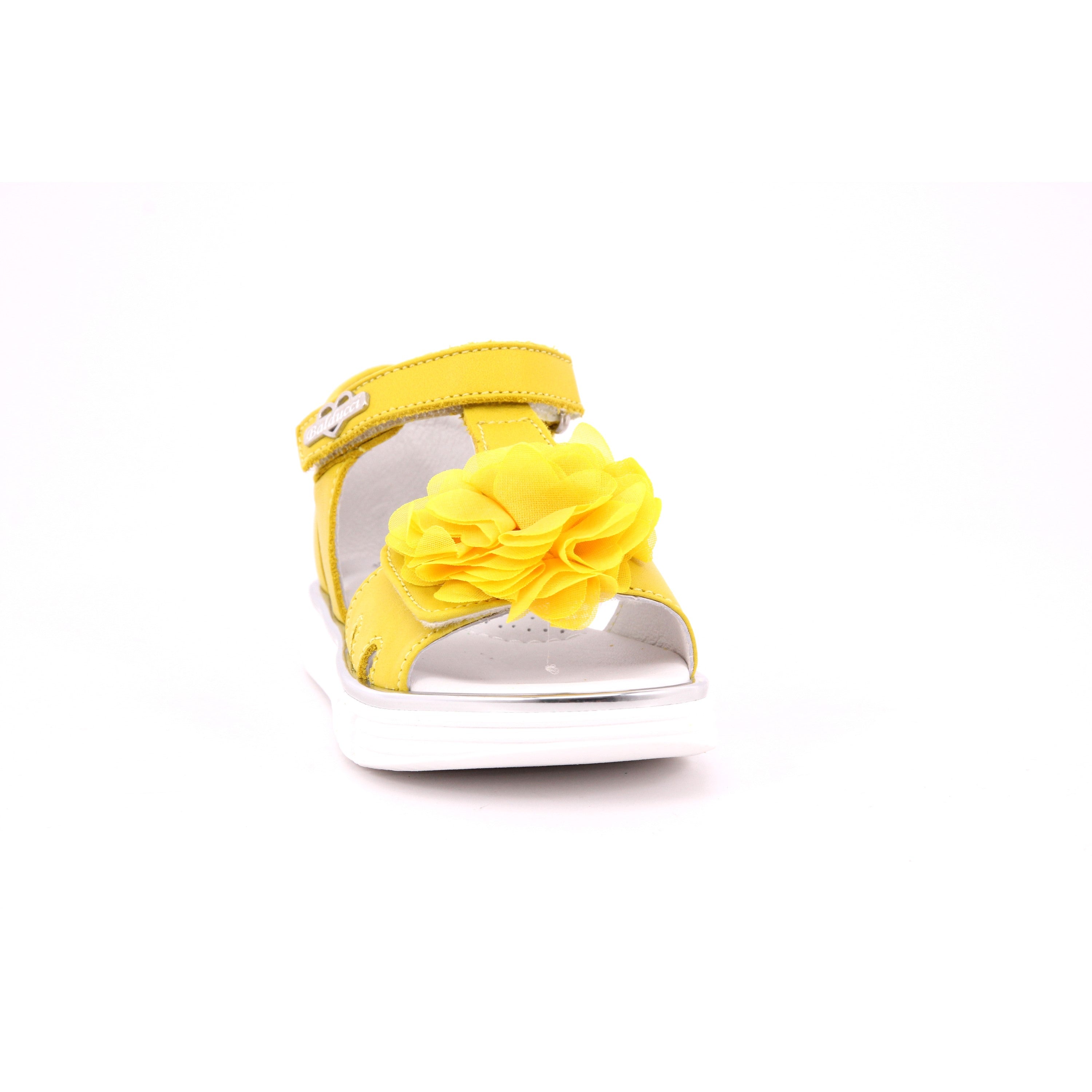 GIALLO