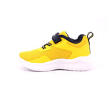 SOFTY EVOLVE B TD YS002 BZY