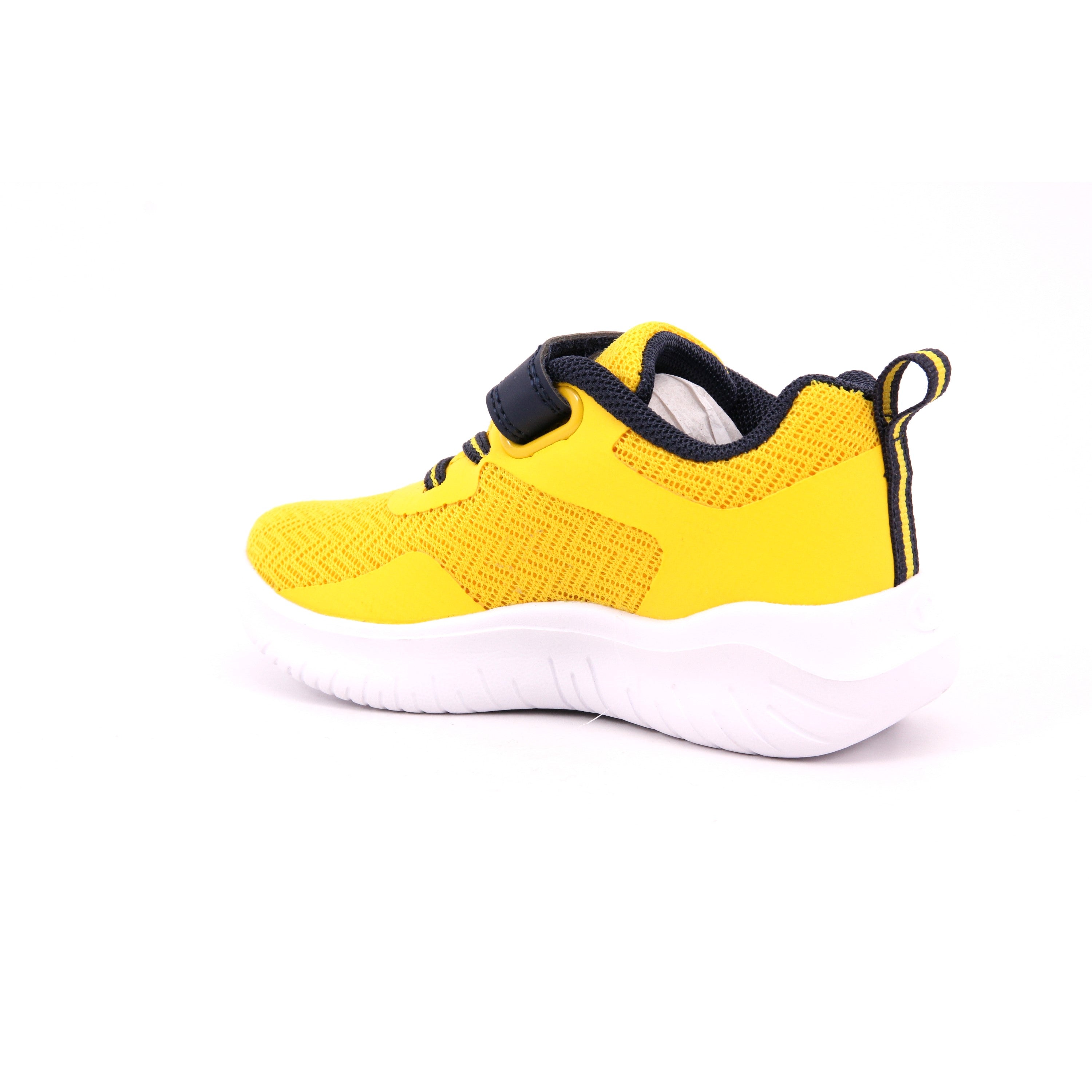 SOFTY EVOLVE B TD YS002 BZY