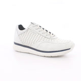 W0051 STUCKY PUNCHED LTH/WHITE