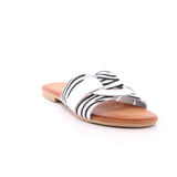DOREA PIAN. D. ZEBRA BIANCO