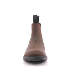 00045 C6768 J SHAYLAX B. A - VIT.INGR. COFFEE/DK