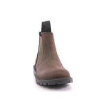 00045 C6768 J SHAYLAX B. A - VIT.INGR. COFFEE/DK