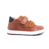 0CL22 C6AF4 B BIGLIA B. D - VIT.CER+SCAM BRANDY