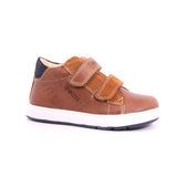 0CL22 C6AF4 B BIGLIA B. D - VIT.CER+SCAM BRANDY