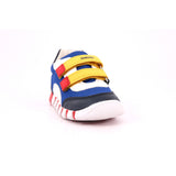 01454 C4227 B IUPIDOO B. C - MESH+GEOBUCK ROYAL