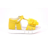 GIALLO