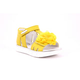GIALLO