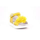 GIALLO