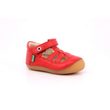 SUSHY COW VEGETA 102 MARINE FONCE