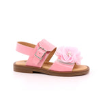 DARK PINK VERNICE