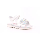 WHITE/SILVER