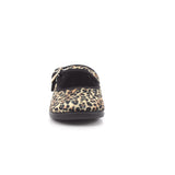 LEOPARDO MARRON