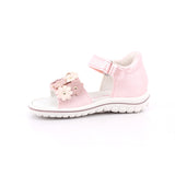 PSW 13643 BABY SWEET SI.DUBAI BABY