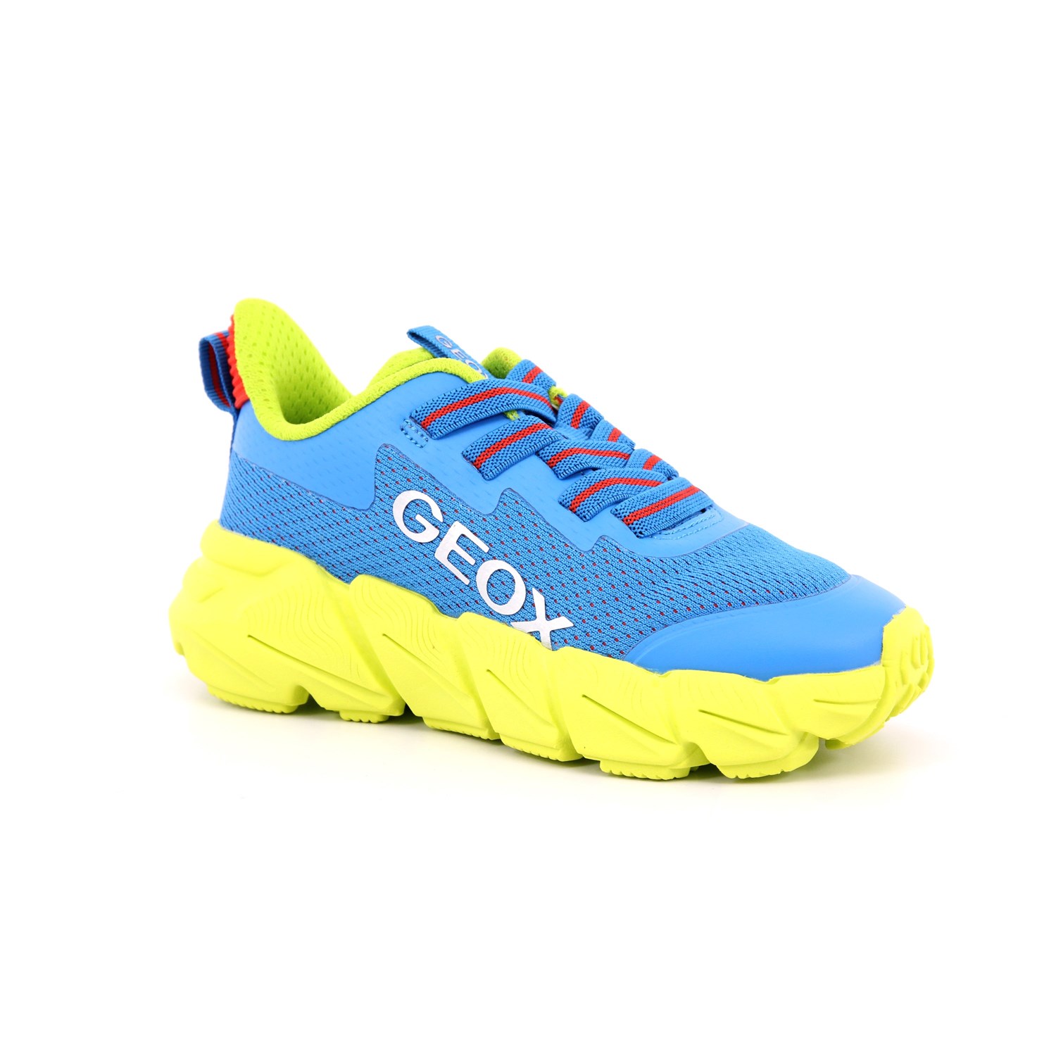Scarpa Allacciata Geox Bambino Azzurro Scarpa Allacciata Geox Bambino Azzurro Scarpe 573 - J46N1A